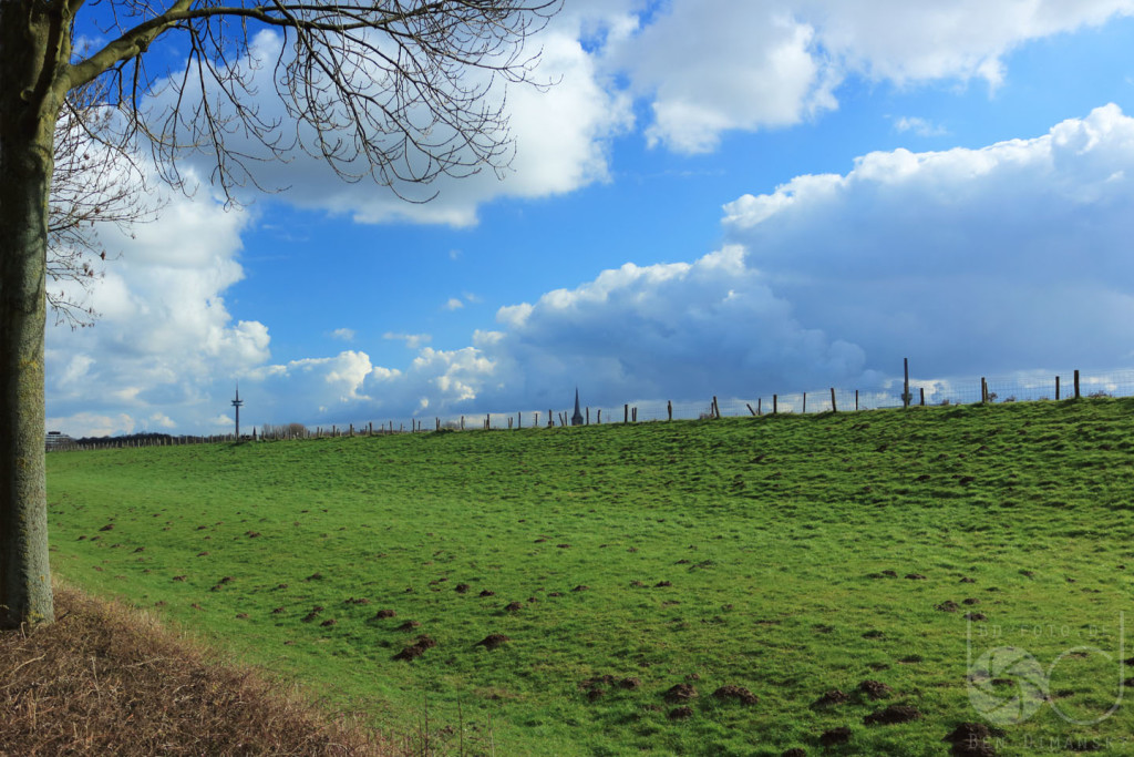 deich wesel_2